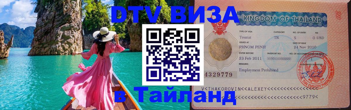 Оформление DTV визы под ключ: стоимость и тарифы, только загранпаспорт - Кишинёв  05.10.2025 